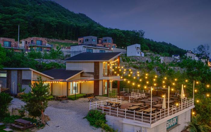 Shark Village