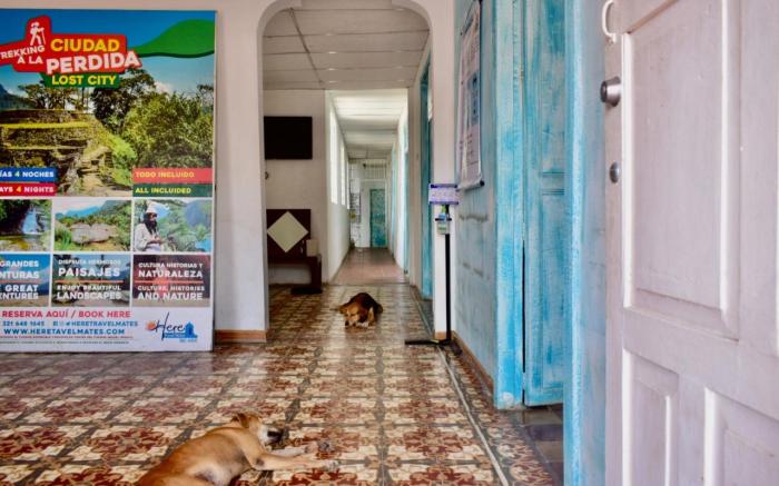 THE MANGO TREE HOSTEL 4:20