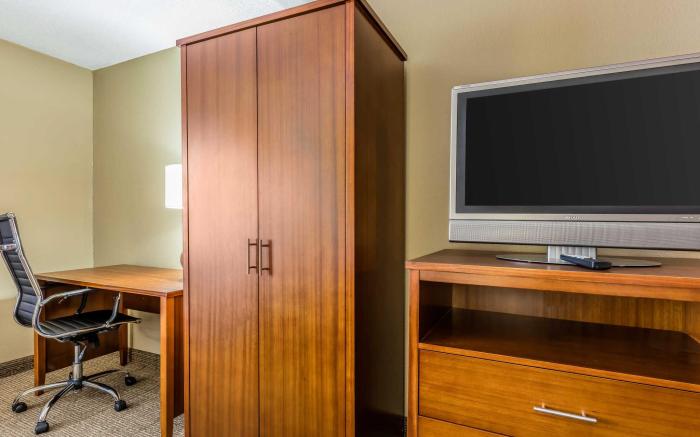 Comfort Inn & Suites Airport-American Way