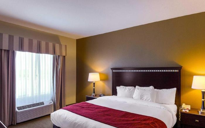 Comfort Suites University