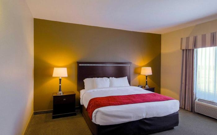 Comfort Suites University