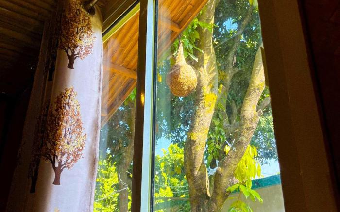Super Hotel O Royal Tree Cafe And Resort