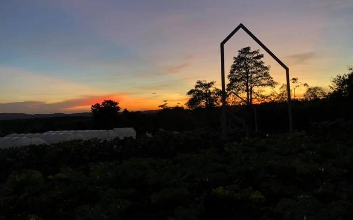 Phu Phrom Dao Farmstay