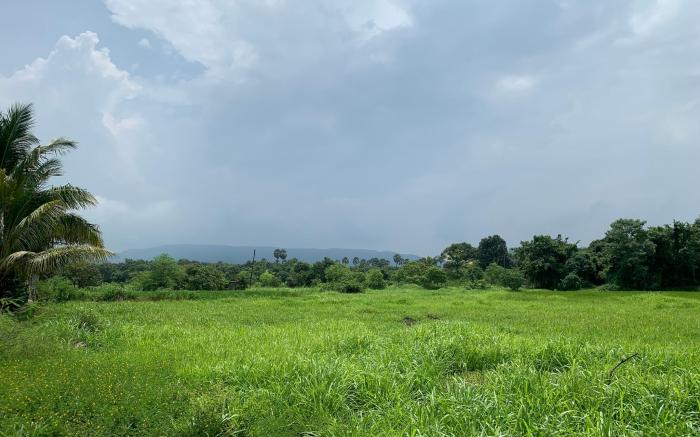 Sarovar's Nest