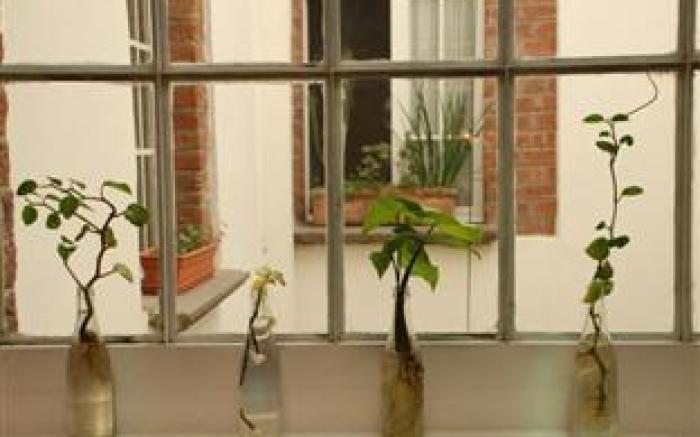 El Patio 77 B&B