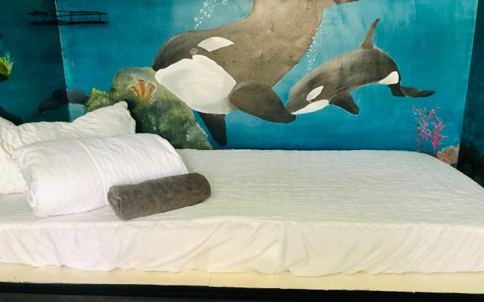 Cape Capsules Backpackers
