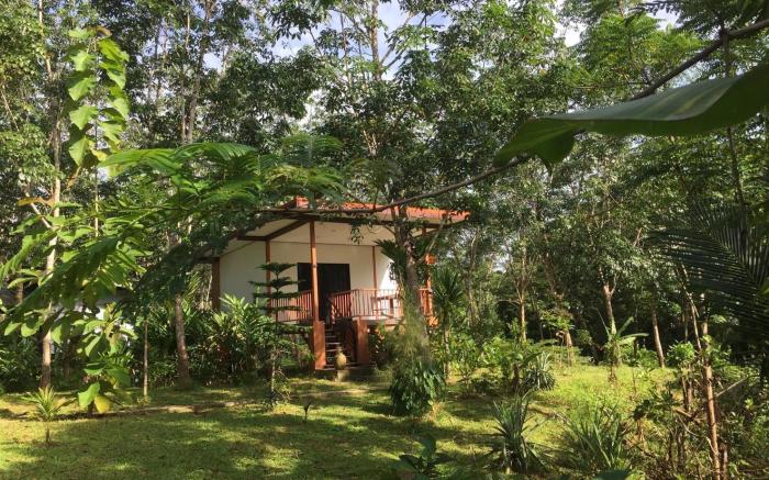 Baansuan Suksangob Farm Stay