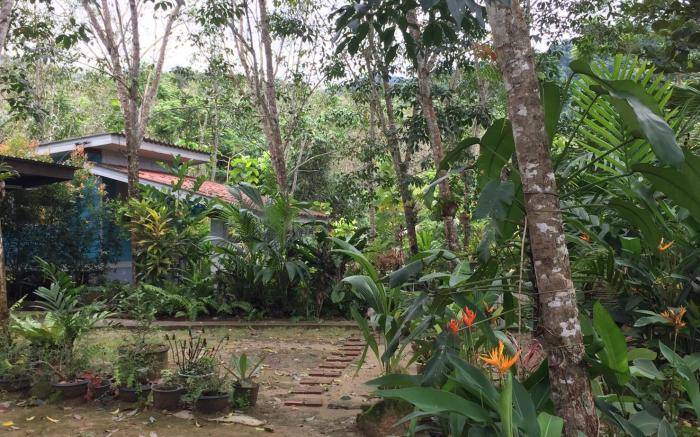 Baansuan Suksangob Farm Stay