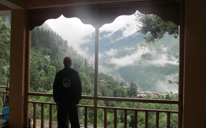 Mozo- tree house hostel