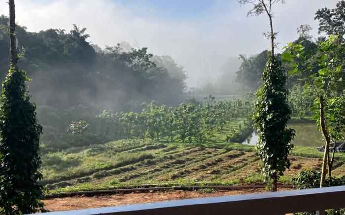 Green Turfs Farmstay- A cozy 2 bedroom cottage