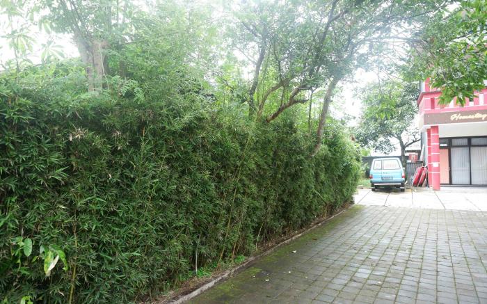 RedDoorz near Alun Alun Wonosobo 2