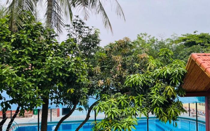Trang An Elegant Homestay