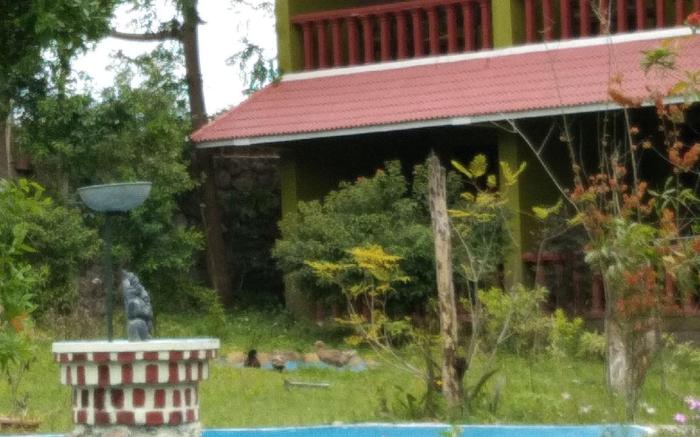 The Tiger Paw Resort