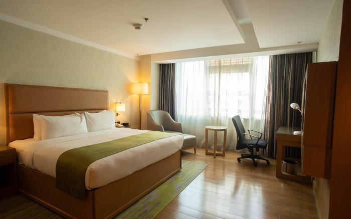 Ion Hotel 