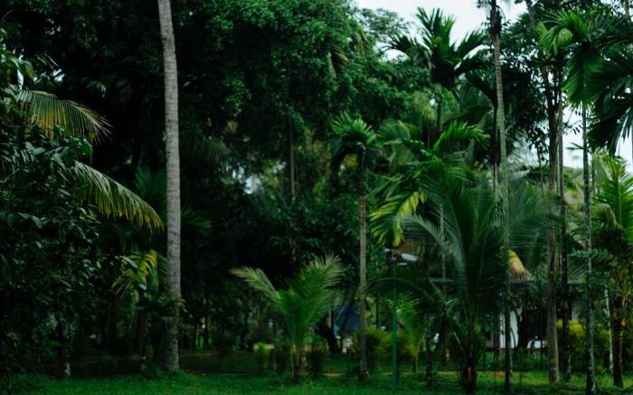 Palmgrove Lake Resort