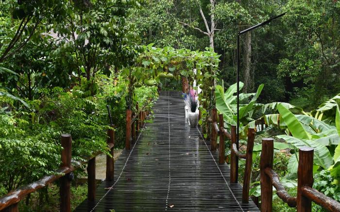 Cascade Tara