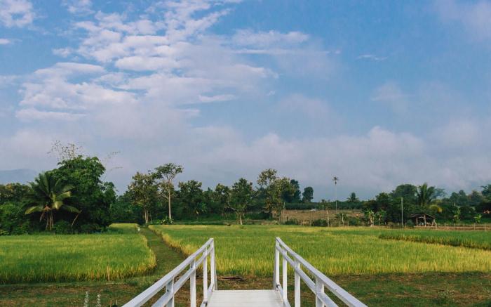 Baanfanglamoon