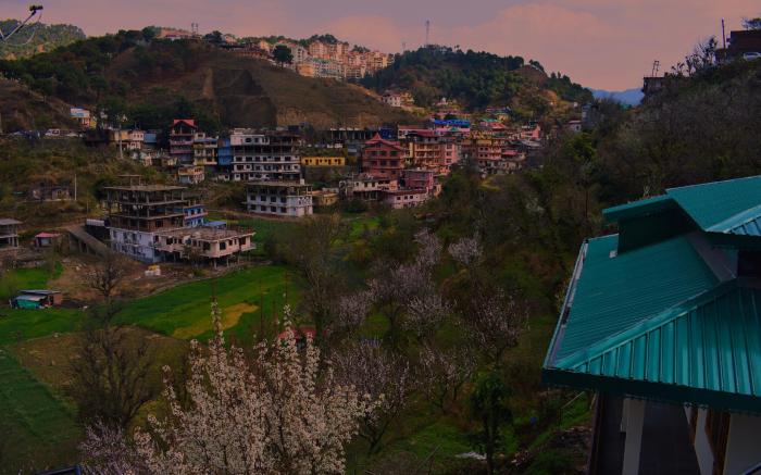 OrchidHomestay Kandaghat