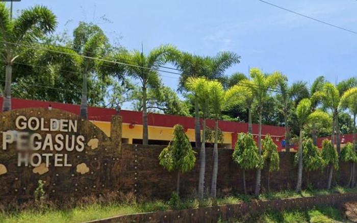 Golden Pegasus Hotel La Union by RedDoorz