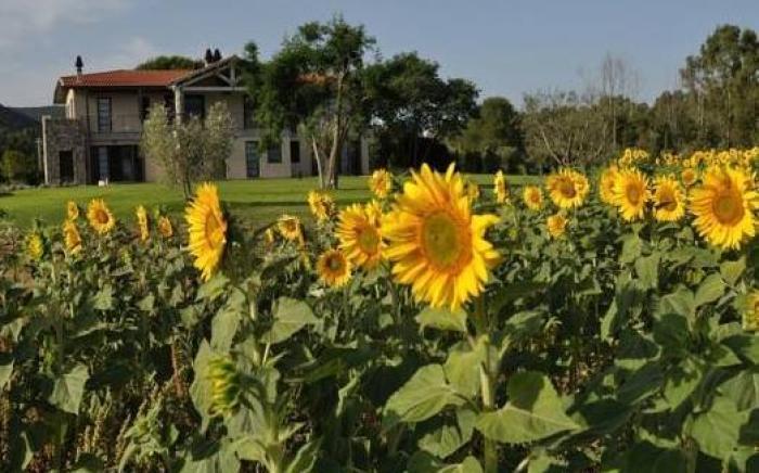 Podere del Priorato