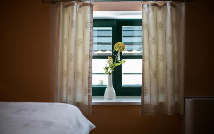 Pri Žabarju Bed & Breakfast Ljubljana