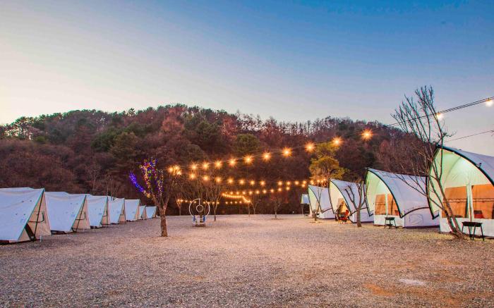 Gapyeong The Camp Caravan Glamping
