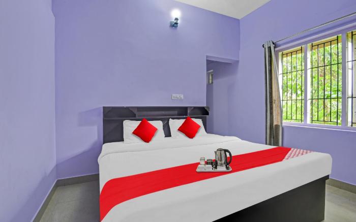 Collection O Clement Holydays