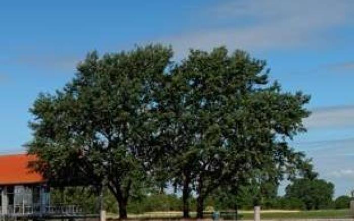 Hotel & Restaurant Utkiek