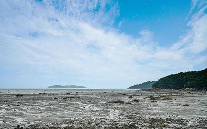 Ganghwa Suite House Pension