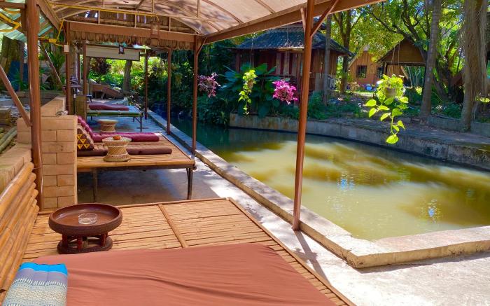 Shaya Resort