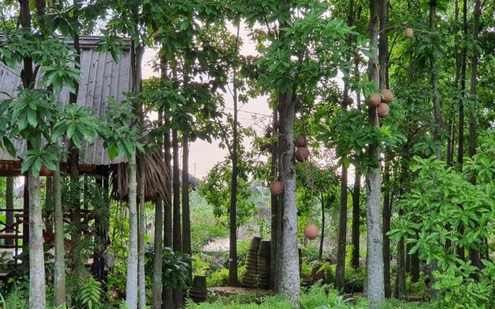 Saigon Garden Homestay 