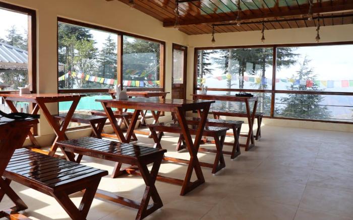 Pinaceae Resort