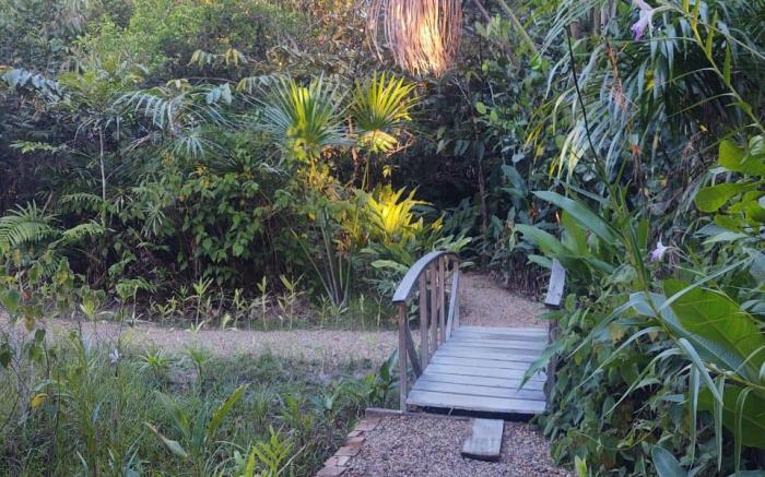 Glamping Amazonas