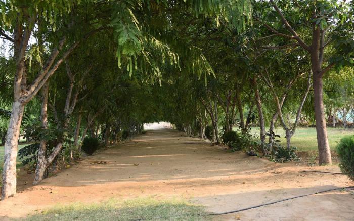 Chitrakoot Garden and Resorts
