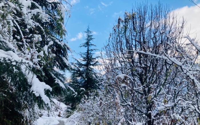 Hotel Snow Crest Residency - A Pure Veg Hotel