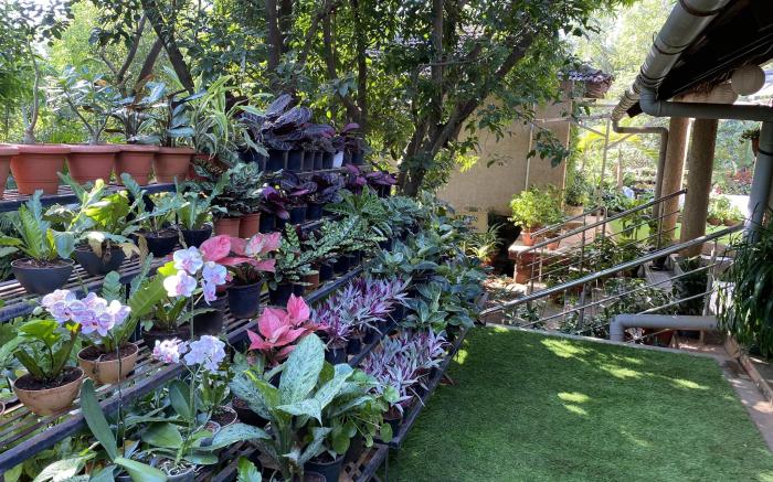 Peace Lily Cottage by Elite Hotels and Resorts