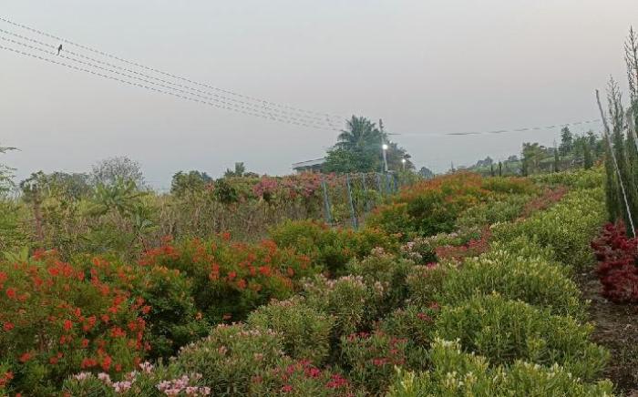 Nisarg Farm Villa