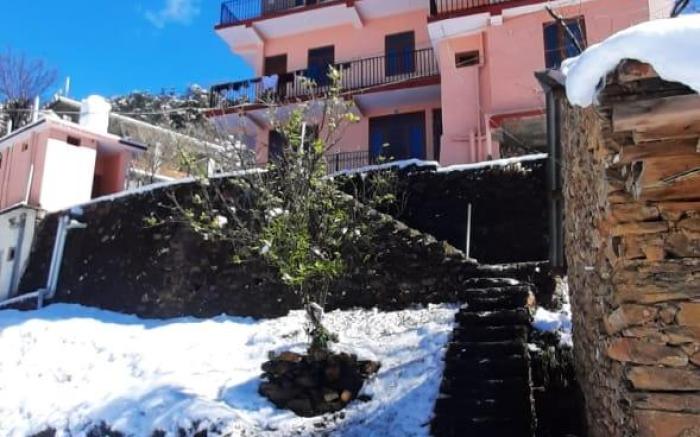 Sejal Homestay Shimla 