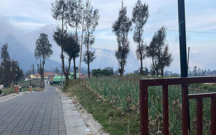 Bromo Semesta Guesthouse