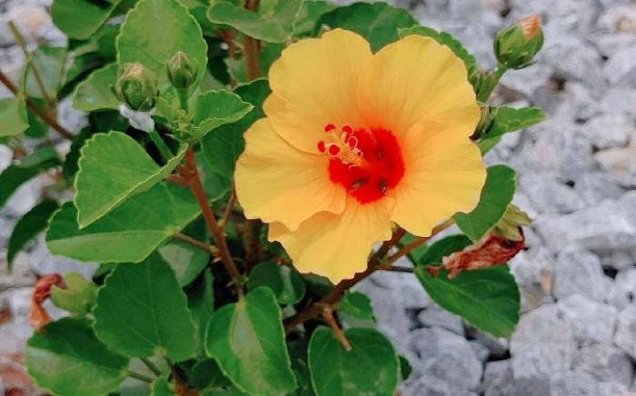 B棟/設備充実！温水プール/ジャグジー/プールサイドBBQ/最大18名まで宿泊可能