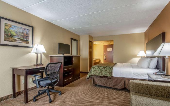 Quality Inn Tully I-81
