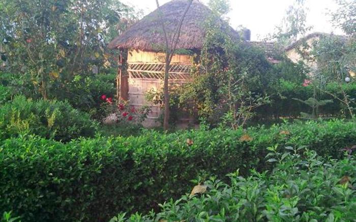 Bardia Kingfisher Resort