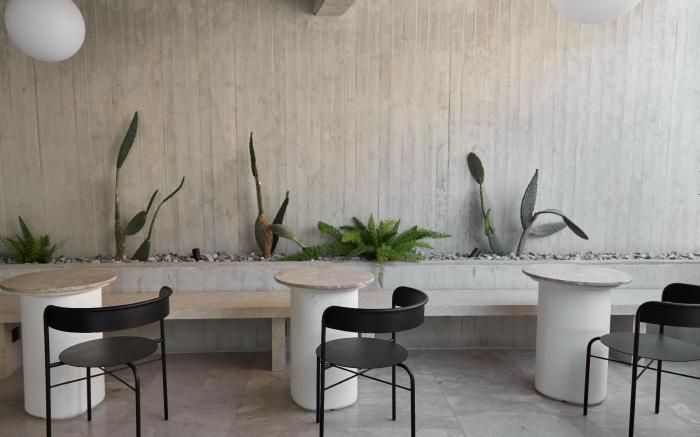 Alinea Primo Historic Center