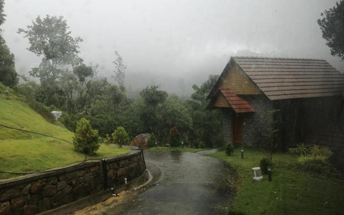 The Wild Trails Clarks Exotica Munnar