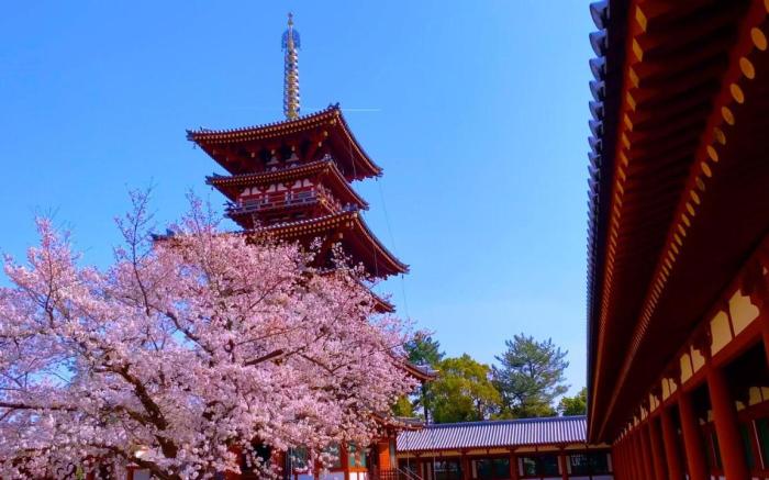 Temple Town Hotel WAQOO Horyuji