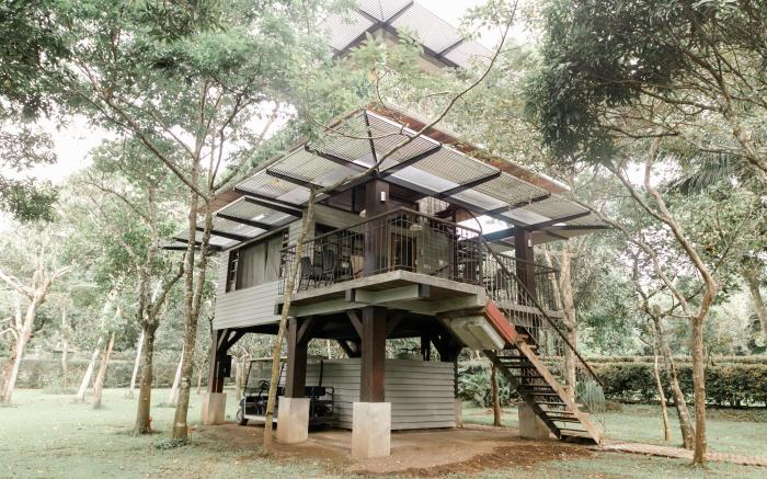 Treehouse Suite perfect for couples