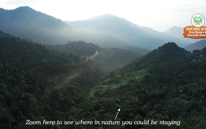 Holistic Stay Eco-Resort Paithalmala Kannur