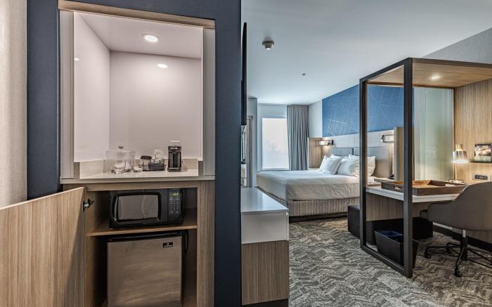 SpringHill Suites by Marriott Detroit Sterling Heights