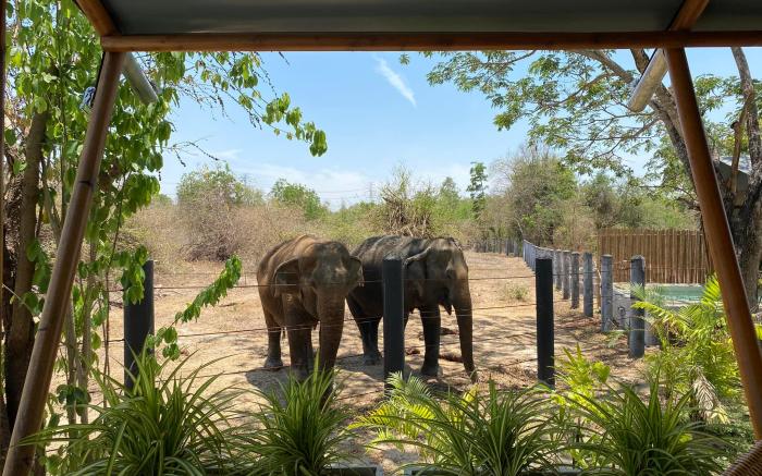 Elephant View Camp