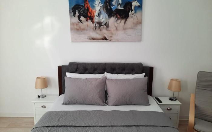 Luxury City Center Apartment – Garofita Romana#2